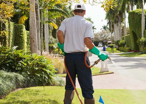 About Chesterfield IL Pest Control